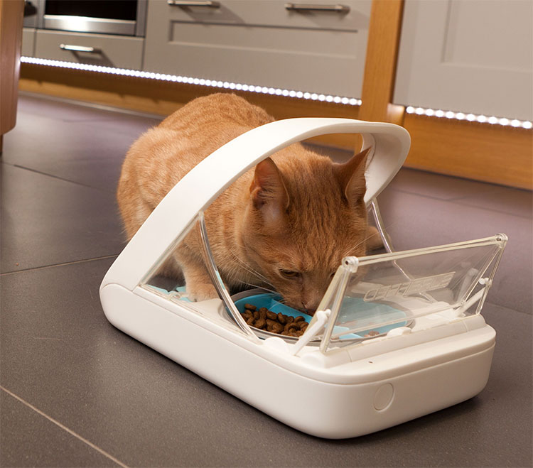 SureFeed Microchip Pet Feed Scanning Food Bowl