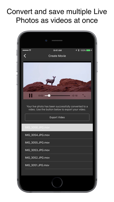 iPhone Screenshot 3