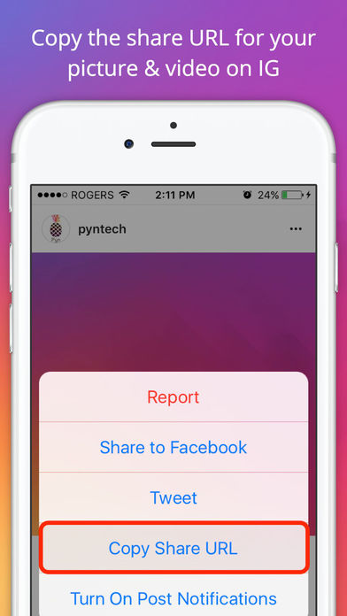 iPhone Screenshot 2