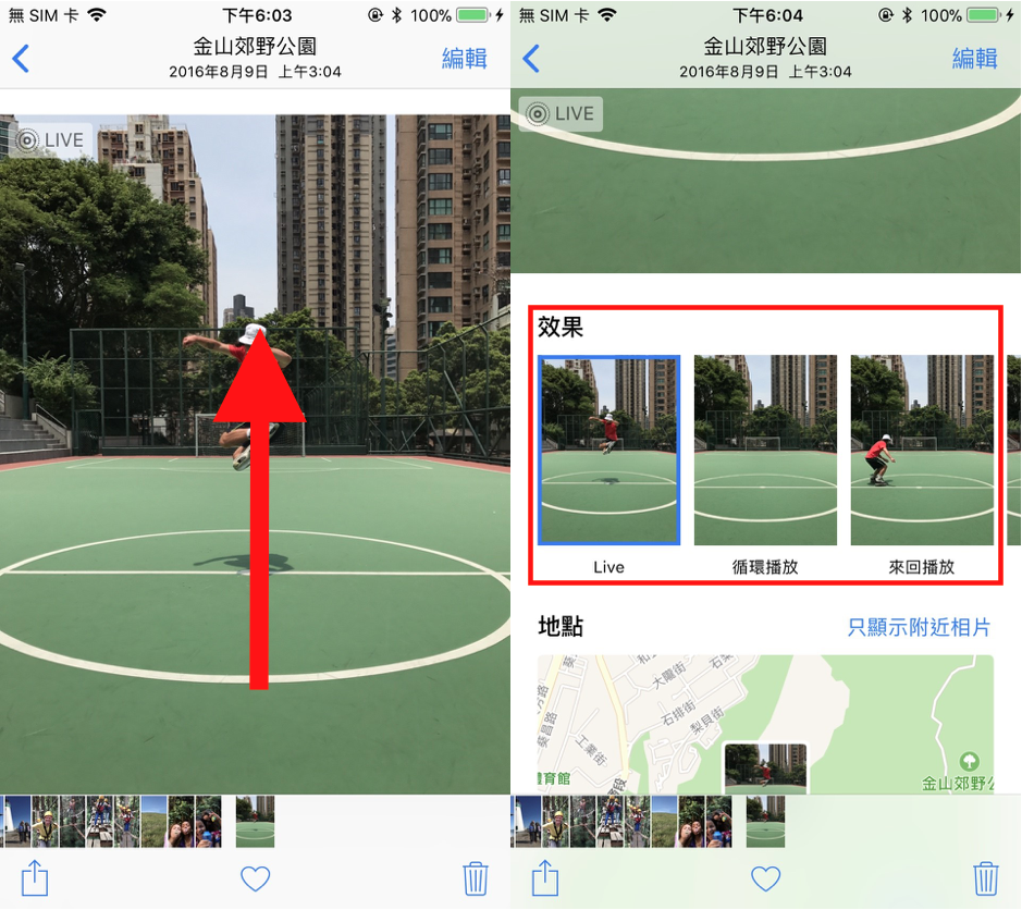 替Live Photo加上循環播放、來回播放效果