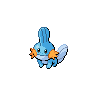 Pokémon GO Mudkip