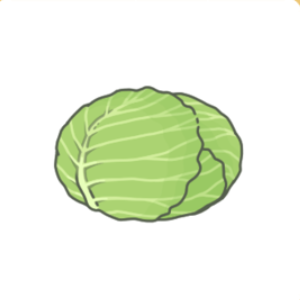 高麗菜.png