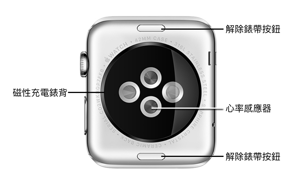 認識 Apple Watch 背面