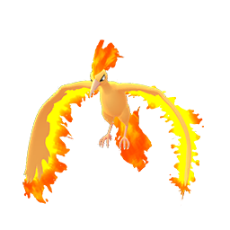 火焰鳥 - Male / Female
