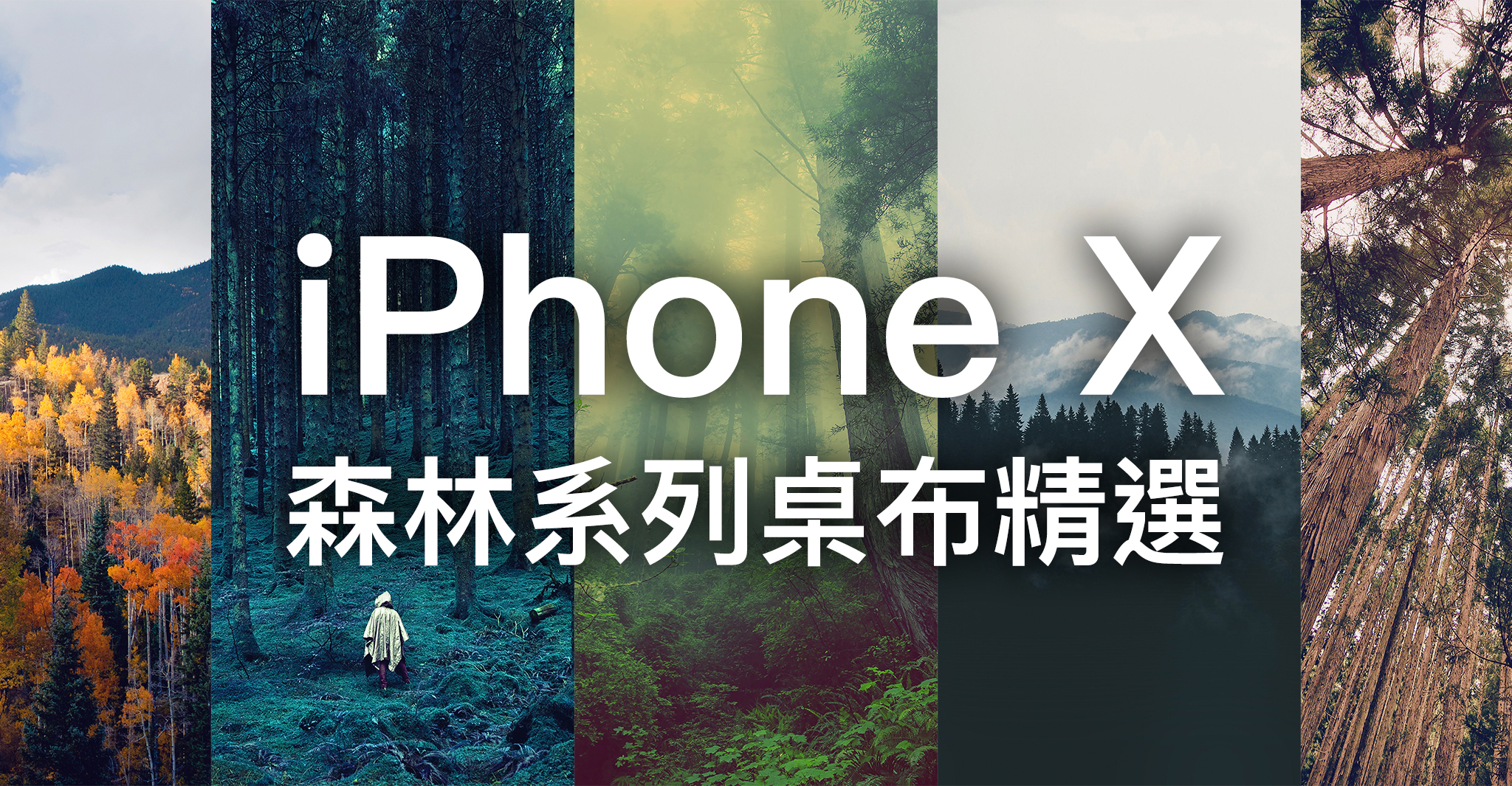 Iphone X 桌布下載 精選 張森林系列iphone X 桌布 蘋果仁 果仁iphone Ios 好物推薦科技媒體