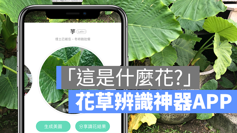 形色 花草辨識 app