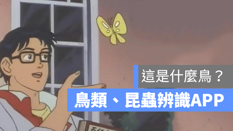 iNaturalist 辨識 app
