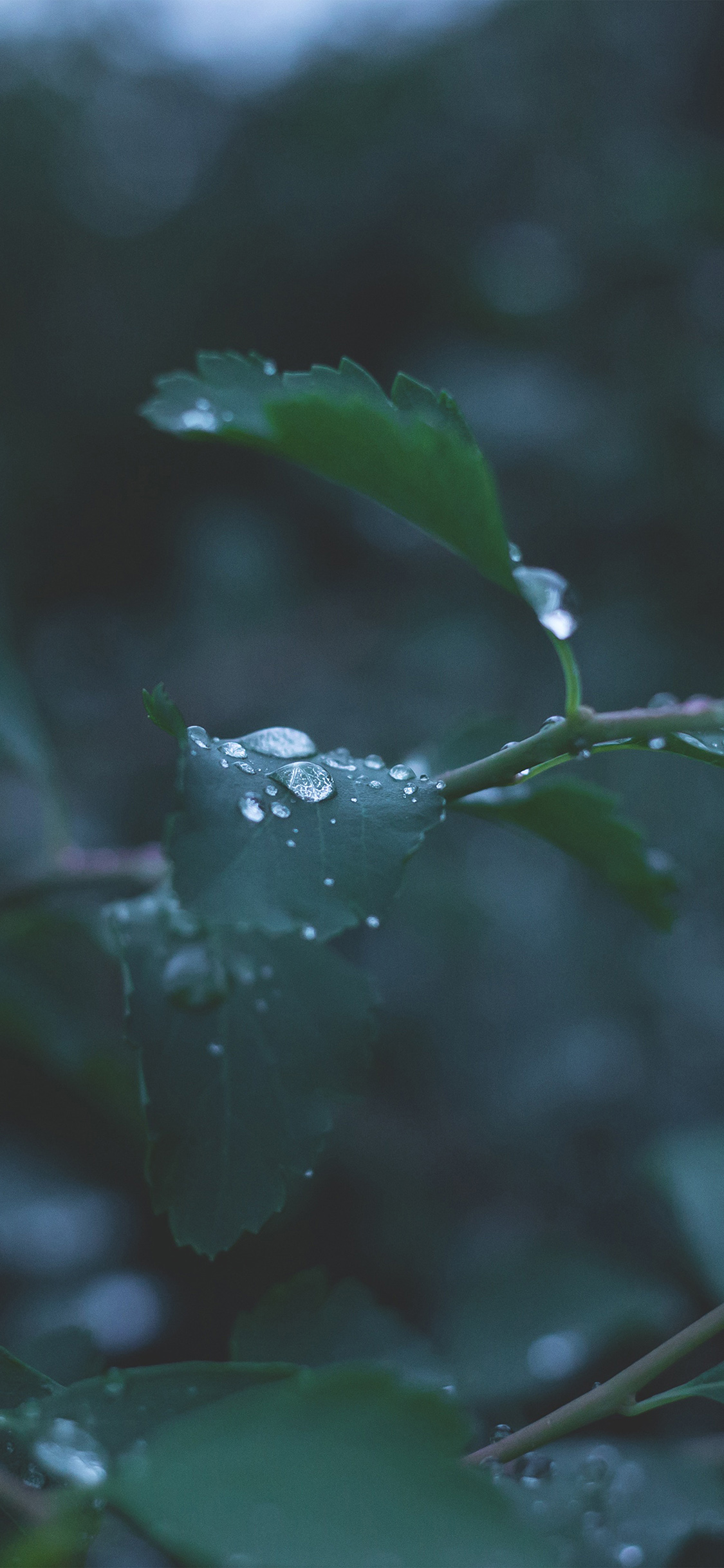 iPhone X 桌布、iPhone 桌布、雨天桌布