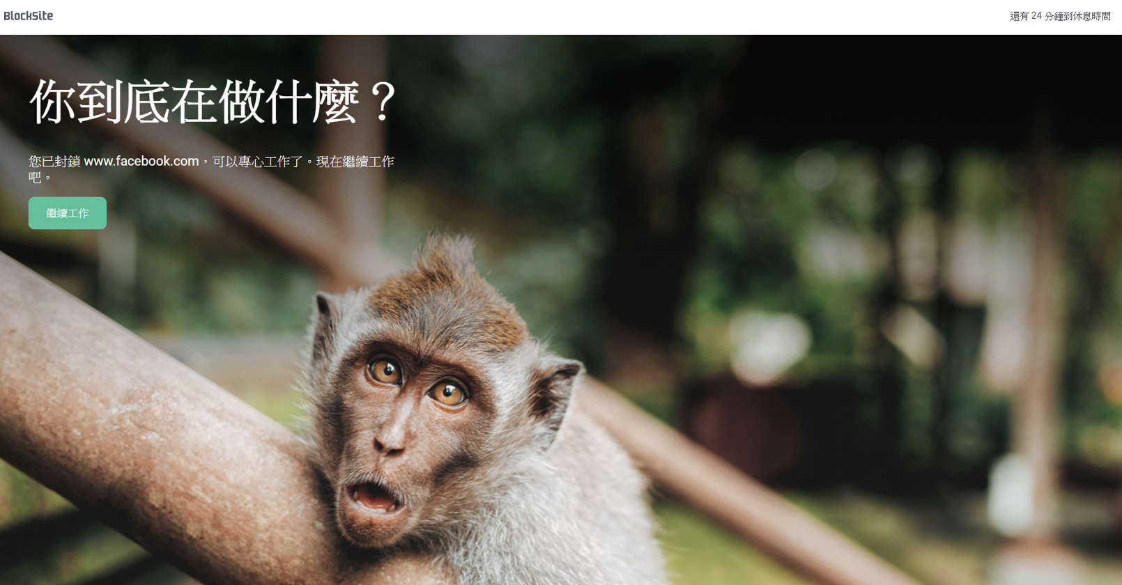 生產力 防偷懶 封鎖網站