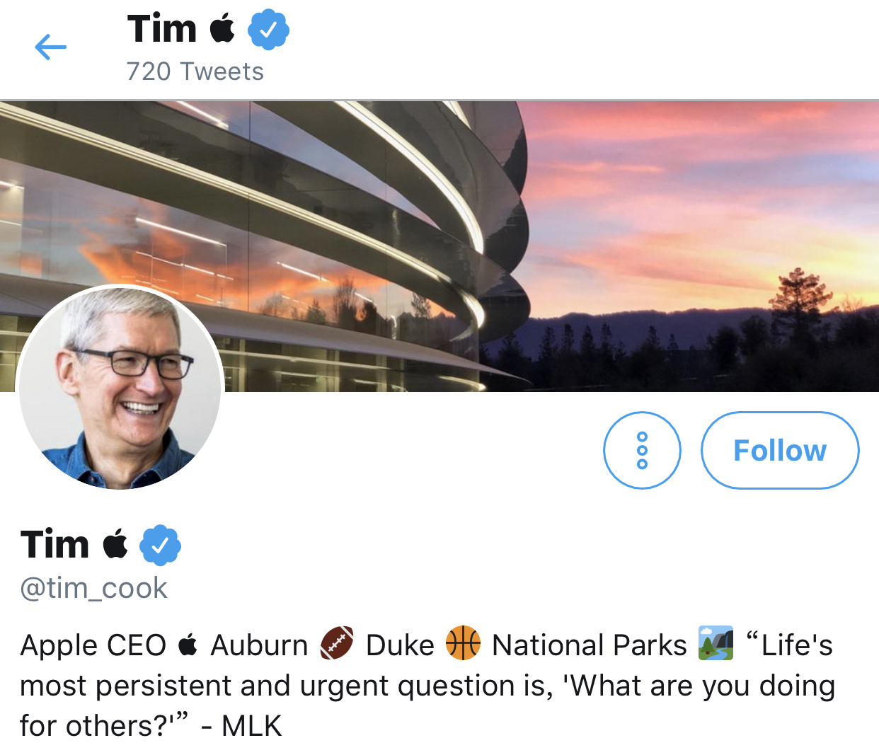 Tim Apple