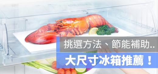 大冰箱 推薦