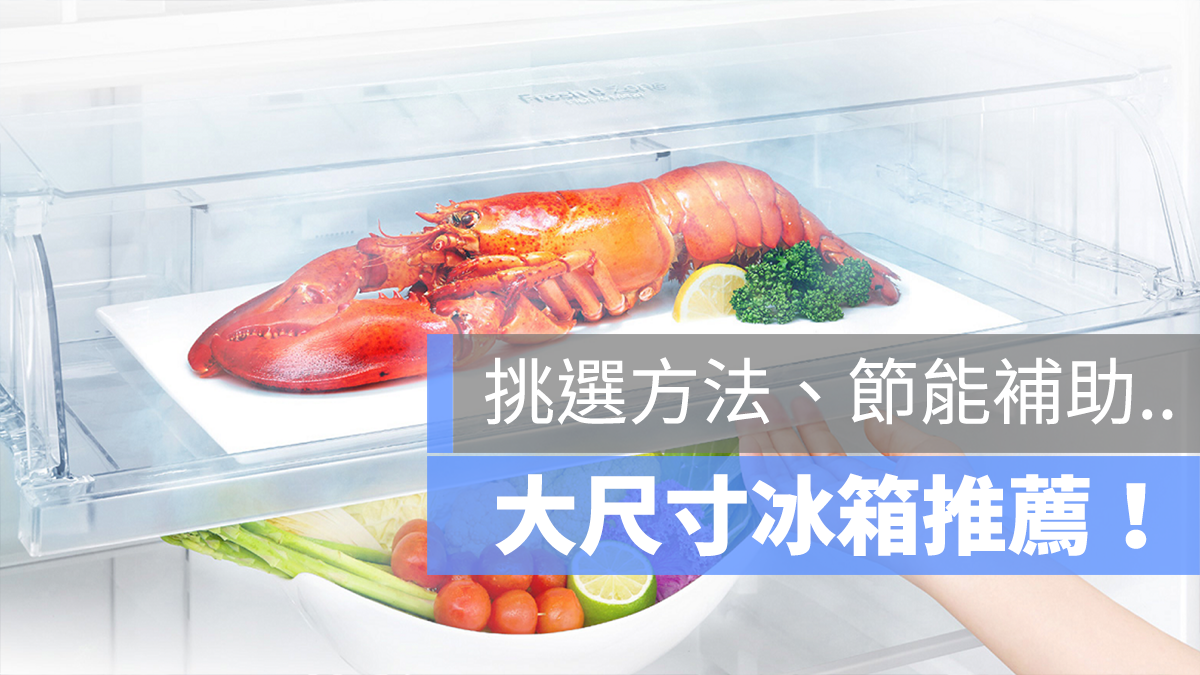 大冰箱 推薦
