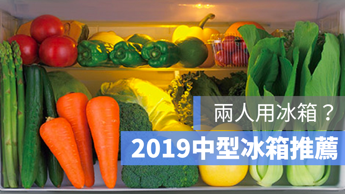中型冰箱推薦