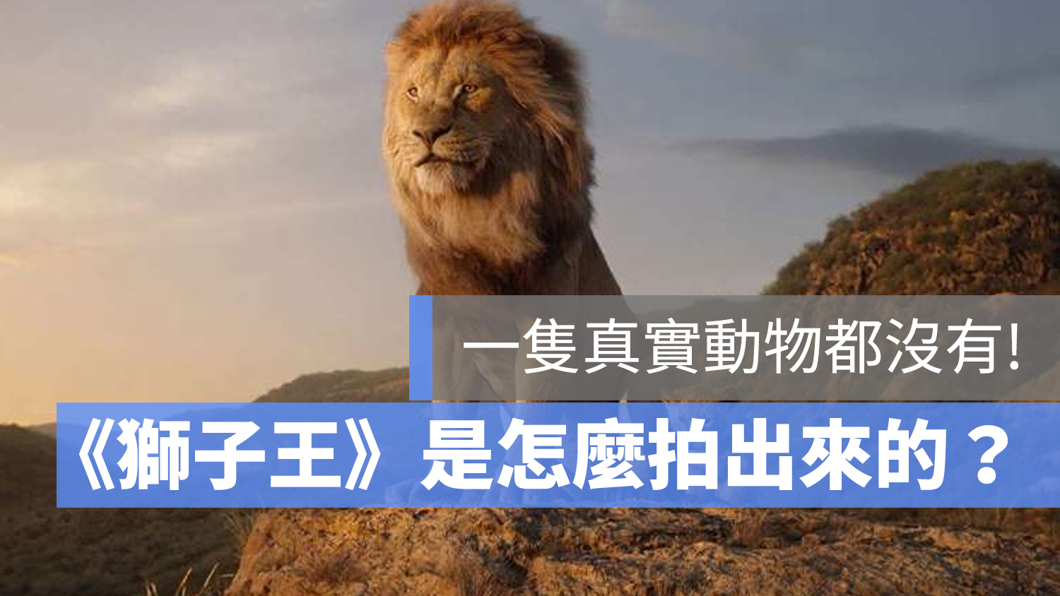 獅子王