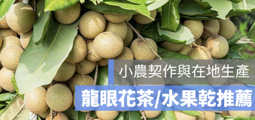 龍眼花茶 水果乾 推薦