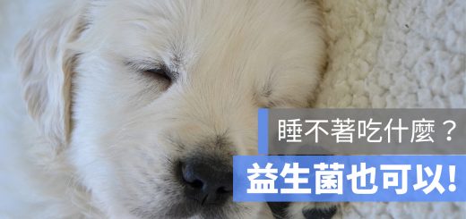 睡不著 益生菌