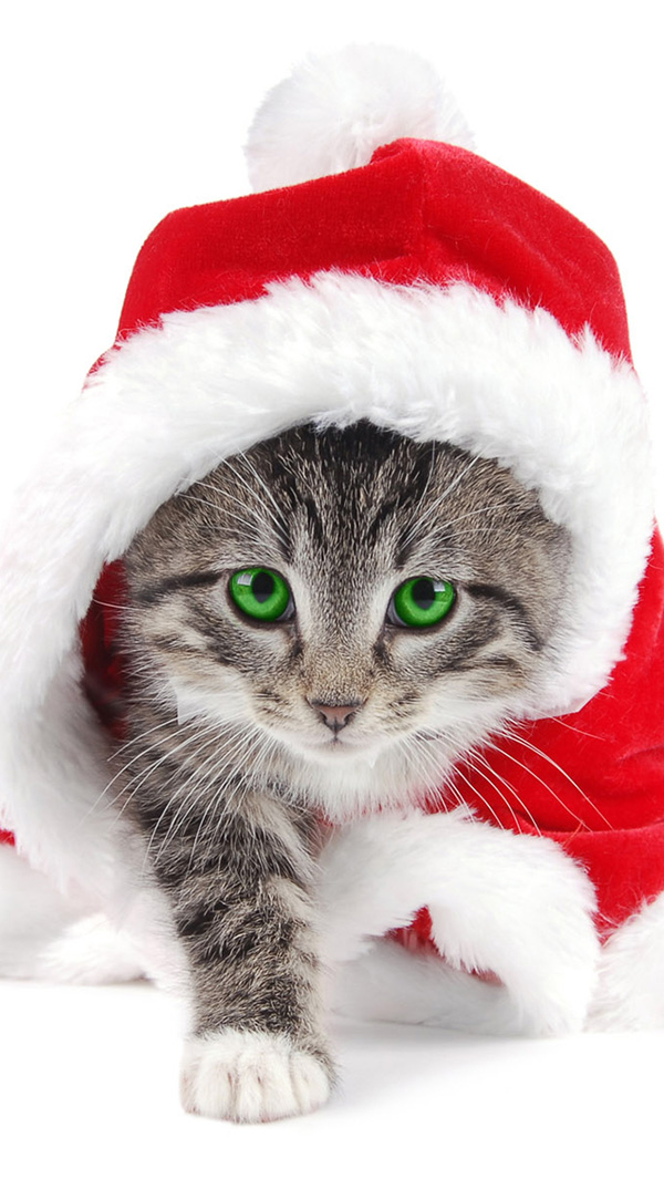 iPhone wallpaper for Christmas - Free to Download 38