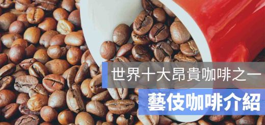 藝伎咖啡 推薦