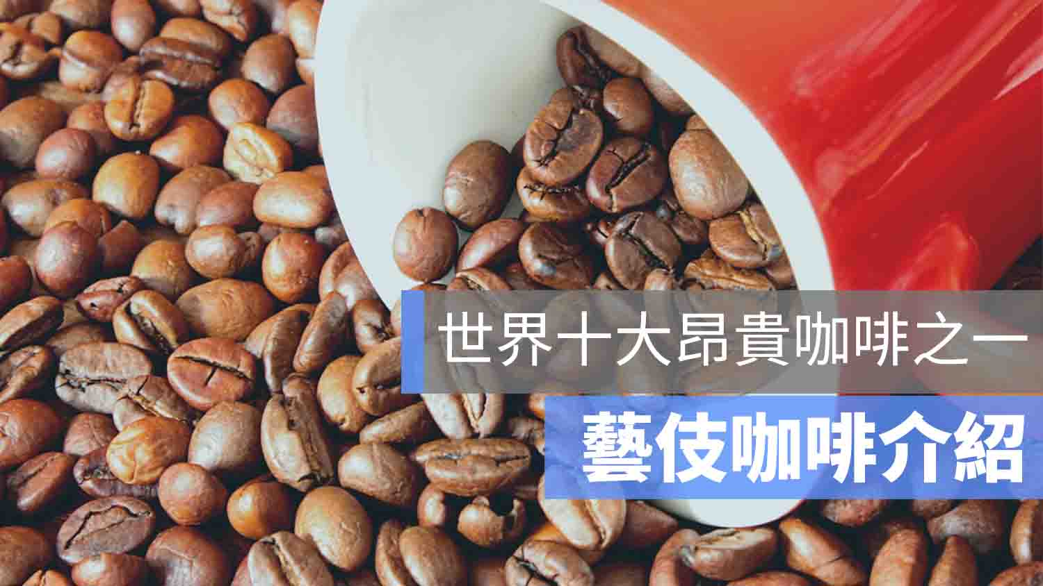 藝伎咖啡 推薦