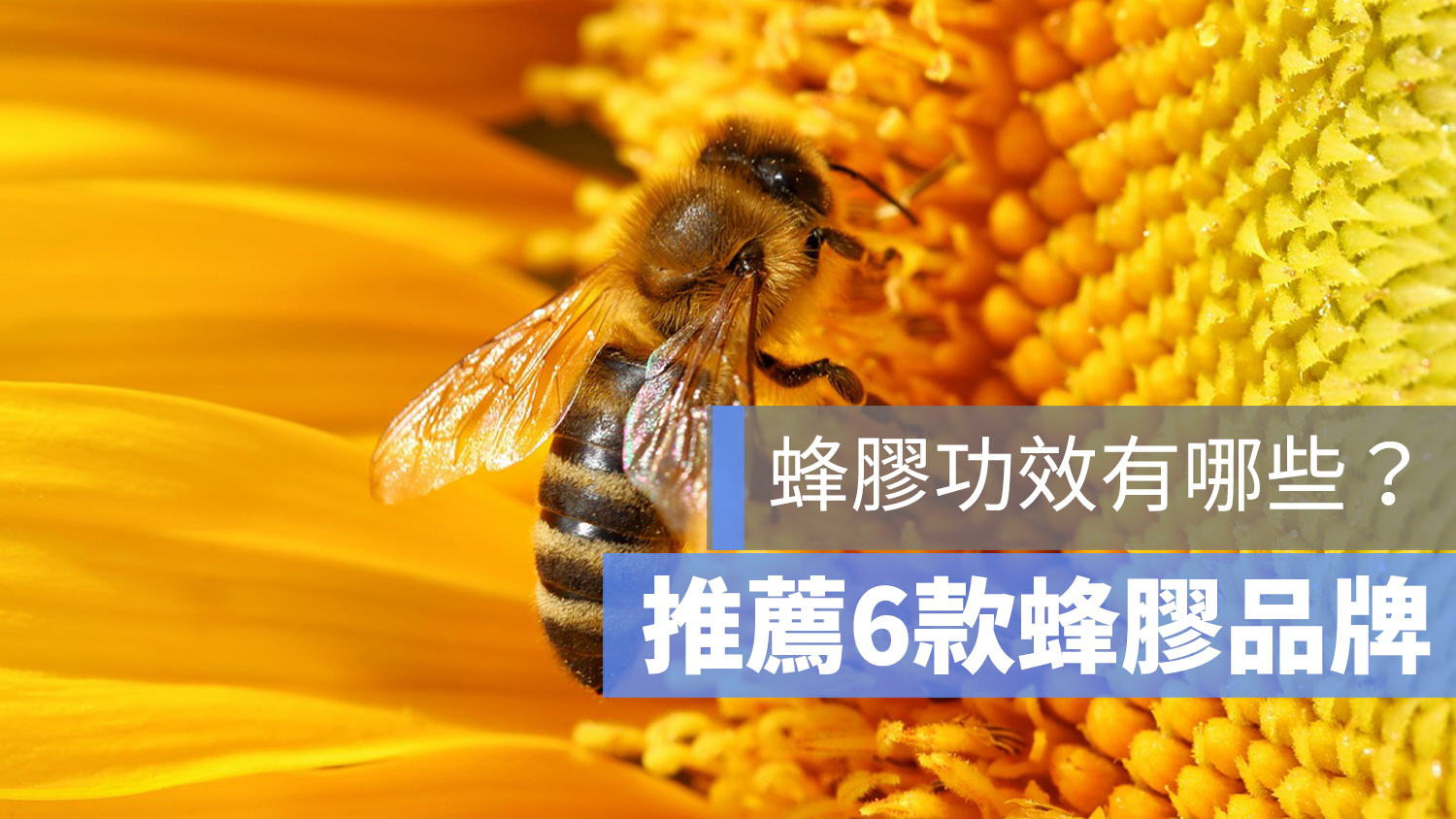 蜂膠 推薦