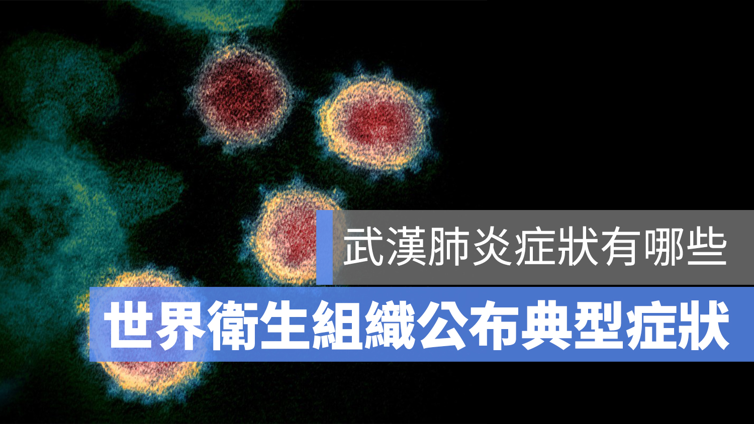 武漢肺炎 症狀