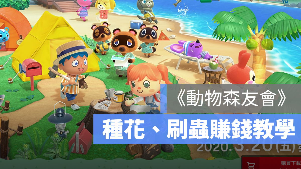 動物森友會 賺錢 抓蟲 種花