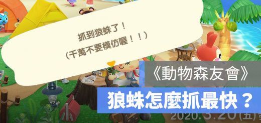 動物森友會 刷狼蛛 狼蛛島