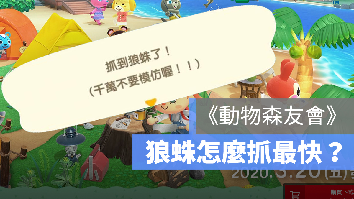 動物森友會 刷狼蛛 狼蛛島