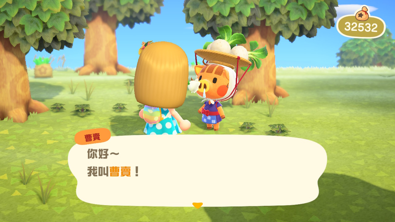 動物森友會 大頭菜 買