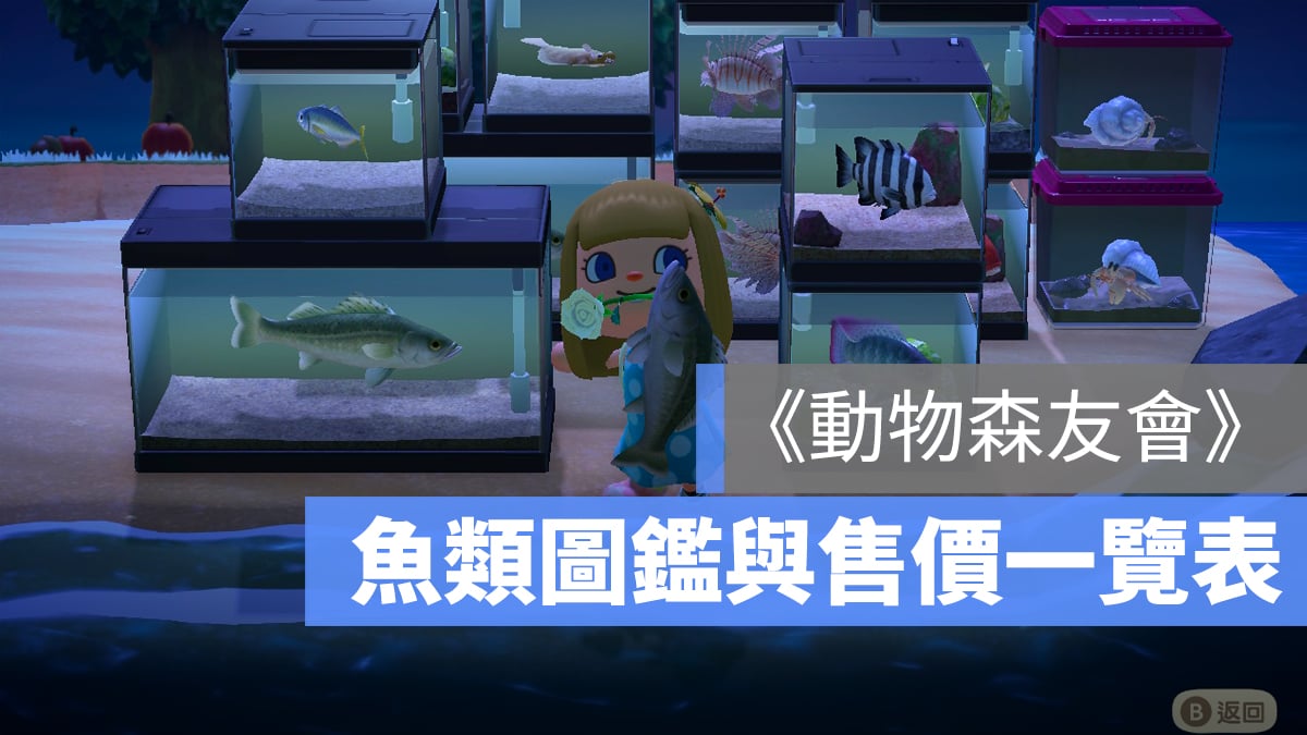 動物森友會 魚類 售價 圖鑑