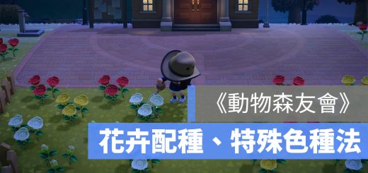 動物森友會 花 圖鑑 特殊顏色