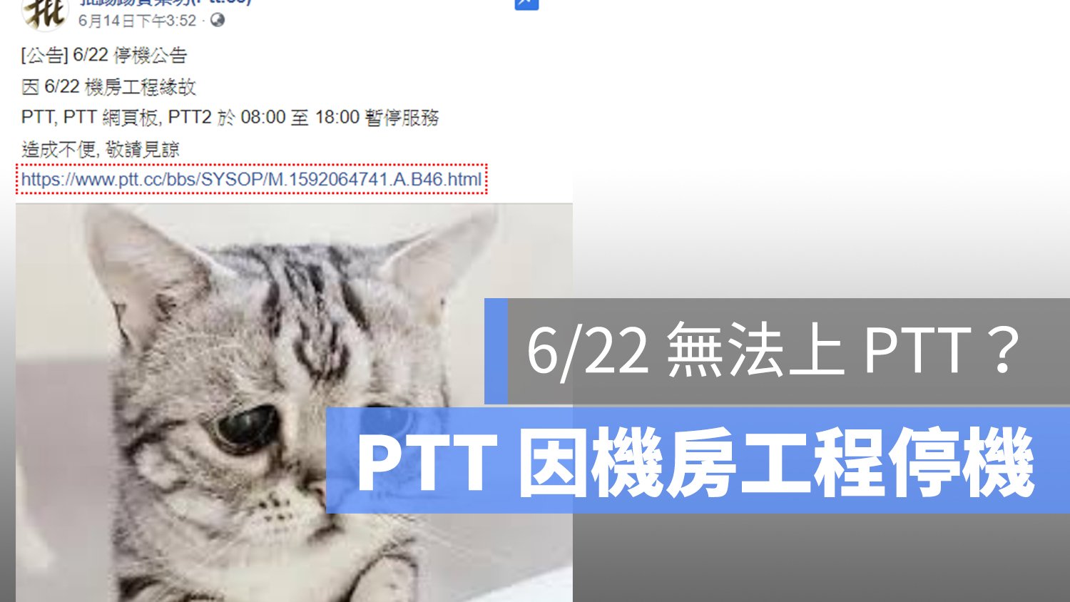 PTT 停機 連不上 