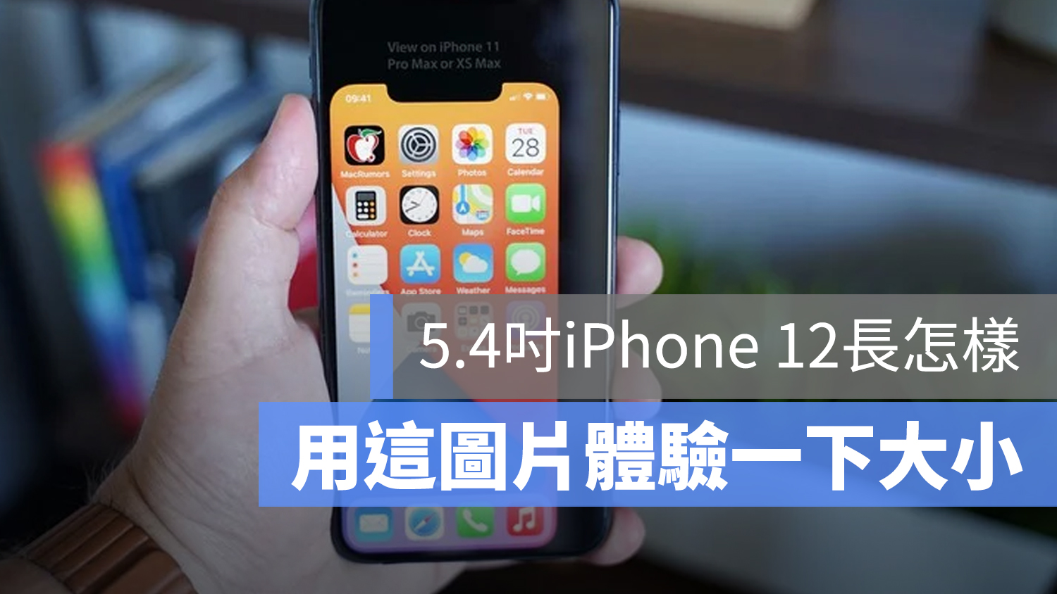iPhone 12 大小