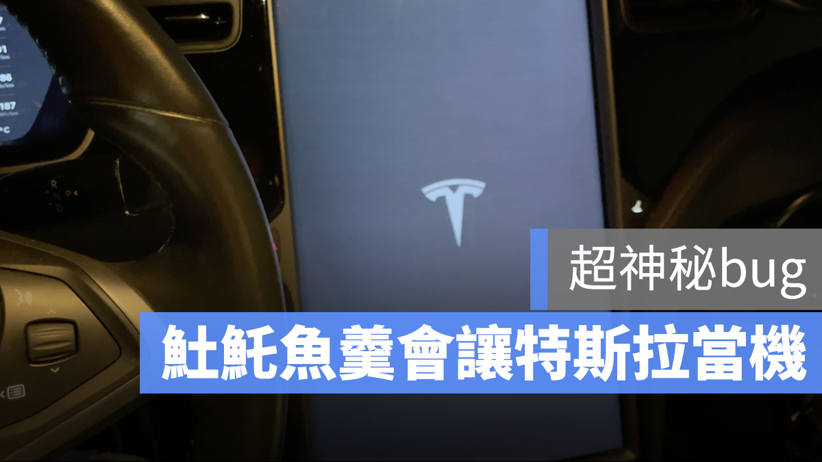 開元路𩵚魠魚羹 特斯拉 當機