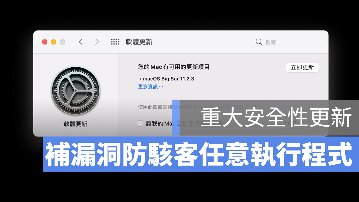 Safari 安全性更新