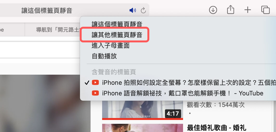 Mac Safari 使用技巧