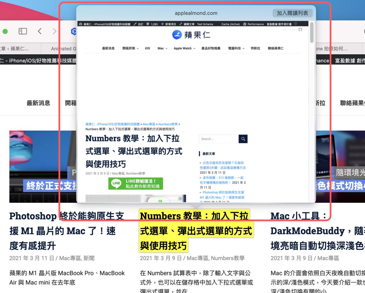 Mac Safari 使用技巧