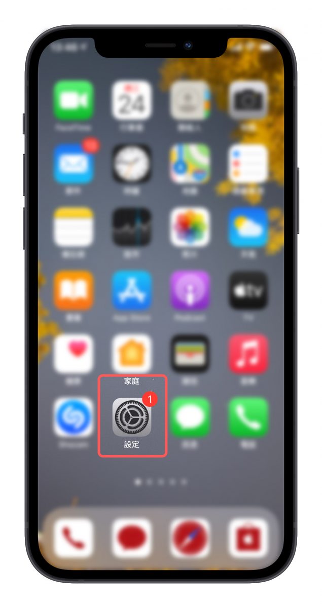 iPhone 畫面變黑白