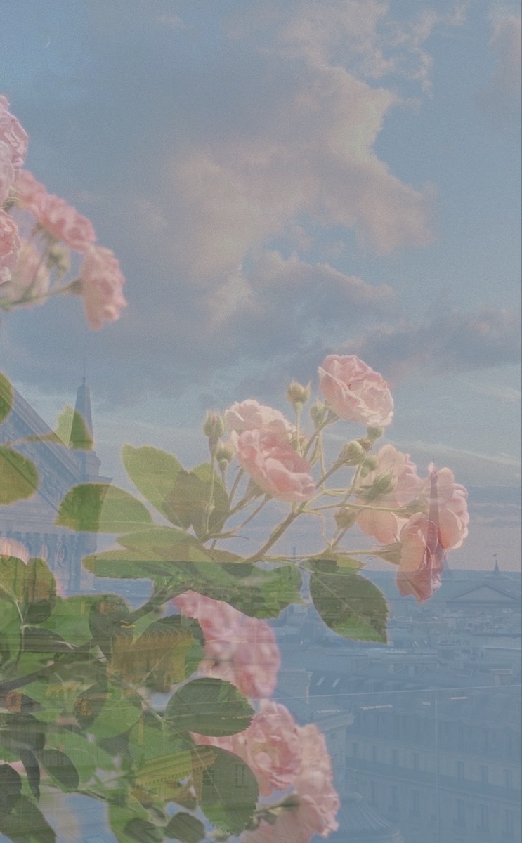 ig 照片效果