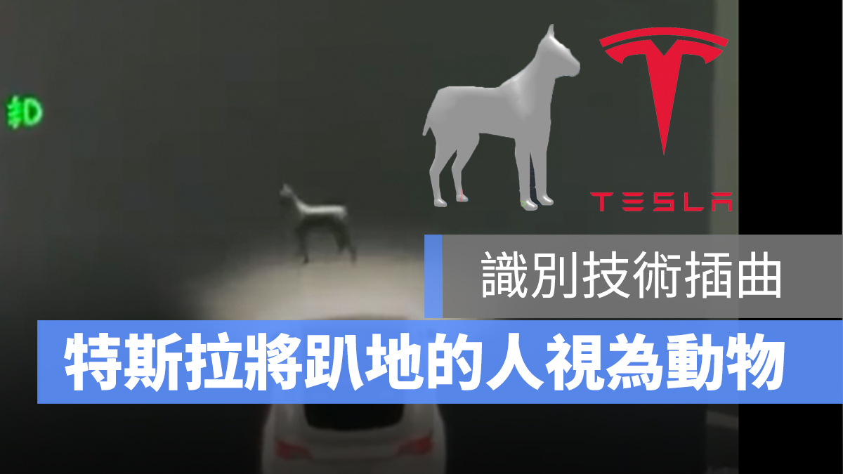 特斯拉 Tesla 動物識別 Autopilot 自動輔助駕駛