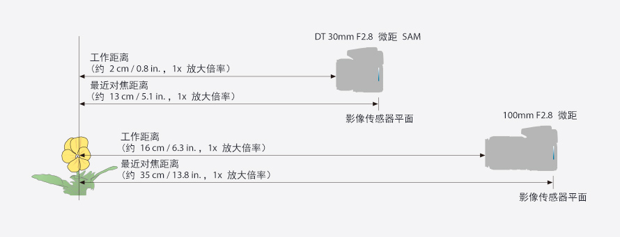 iPad Pro 後置相機 微距攝影
