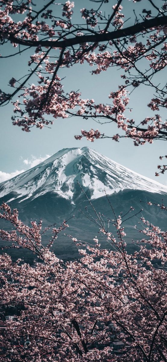 桌布分享 日本