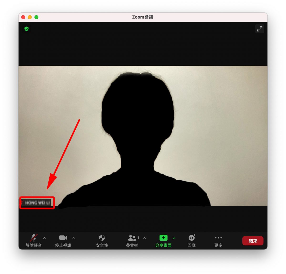 Google Meet Zoom 改名字