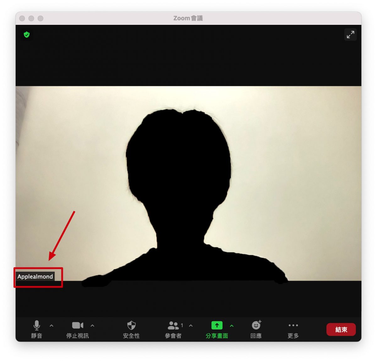 Google Meet Zoom 改名字