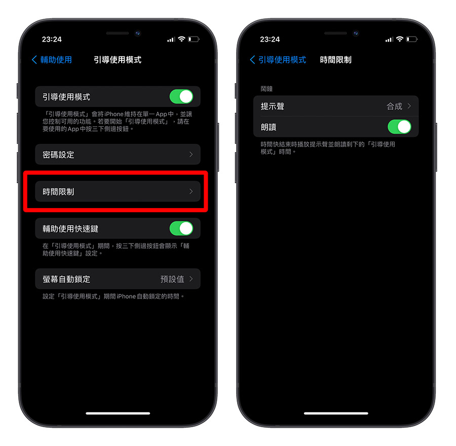 iPhone 引導使用模式