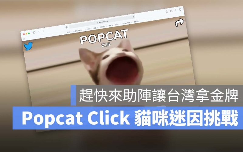 超紅迷因 Popcat Click 是什麼？趕快來助陣，台灣目前全球排名第一
