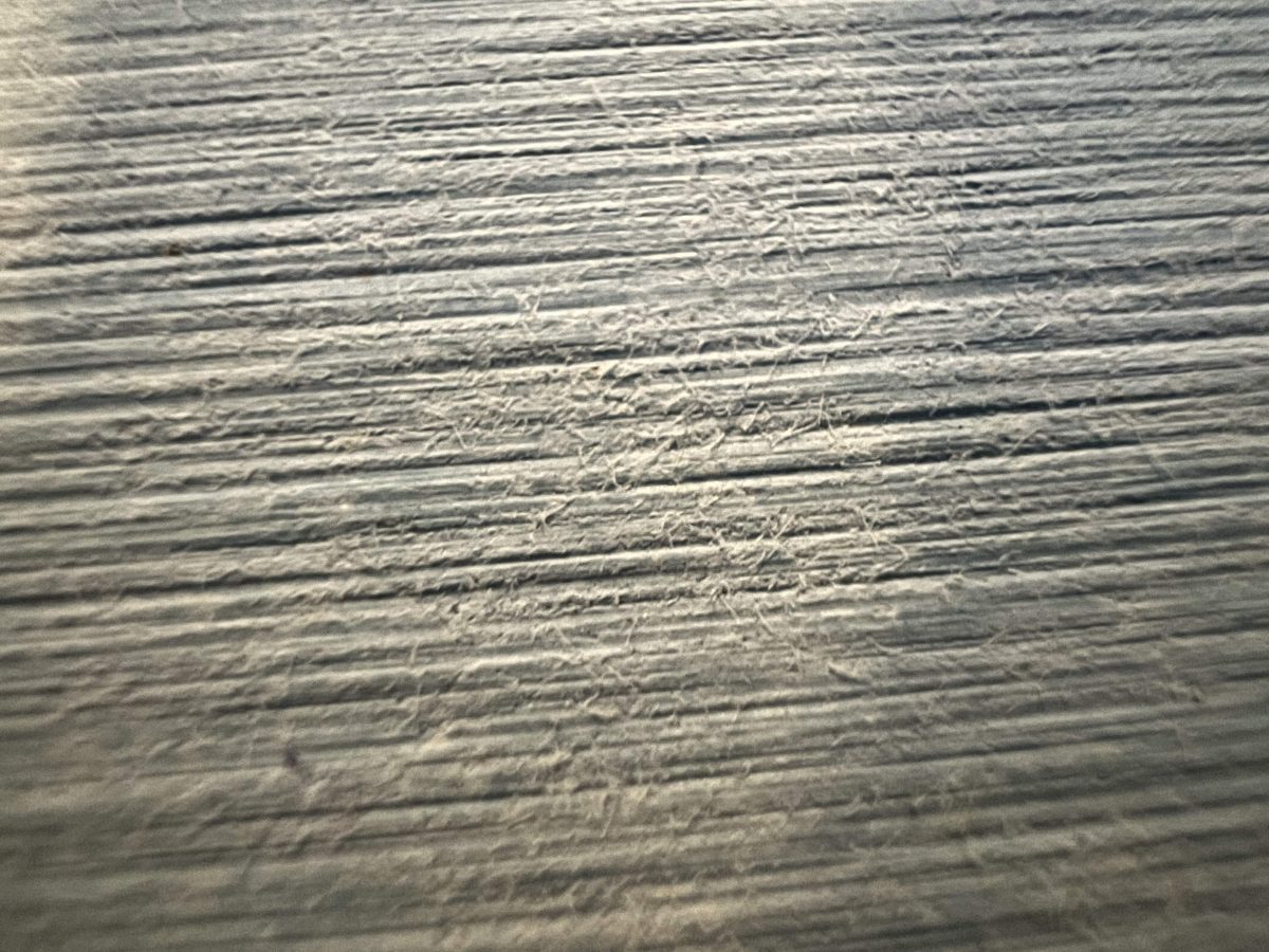 iPhone 13 Pro 微距攝影