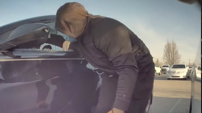 特斯拉 Tesla 哨兵模式 直播