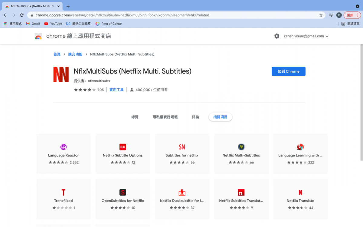 Netflix 雙字幕