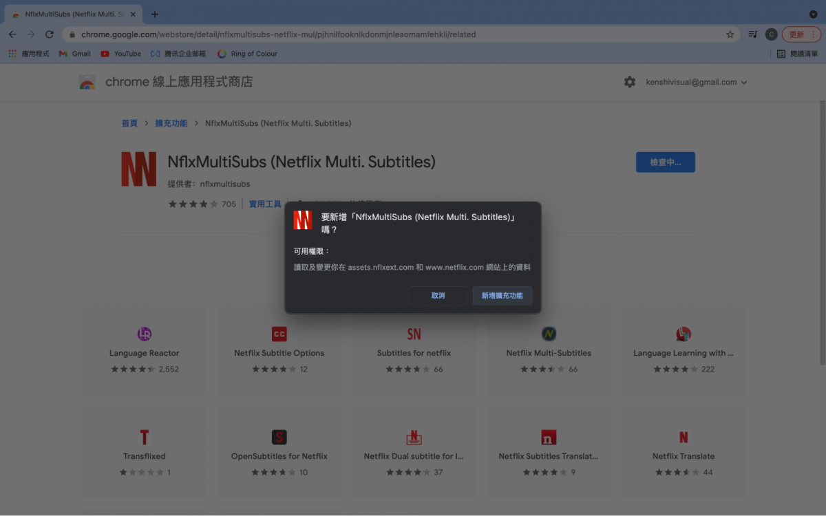 Netflix 雙字幕